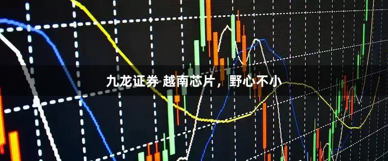 九龙证券 越南芯片，野心不小